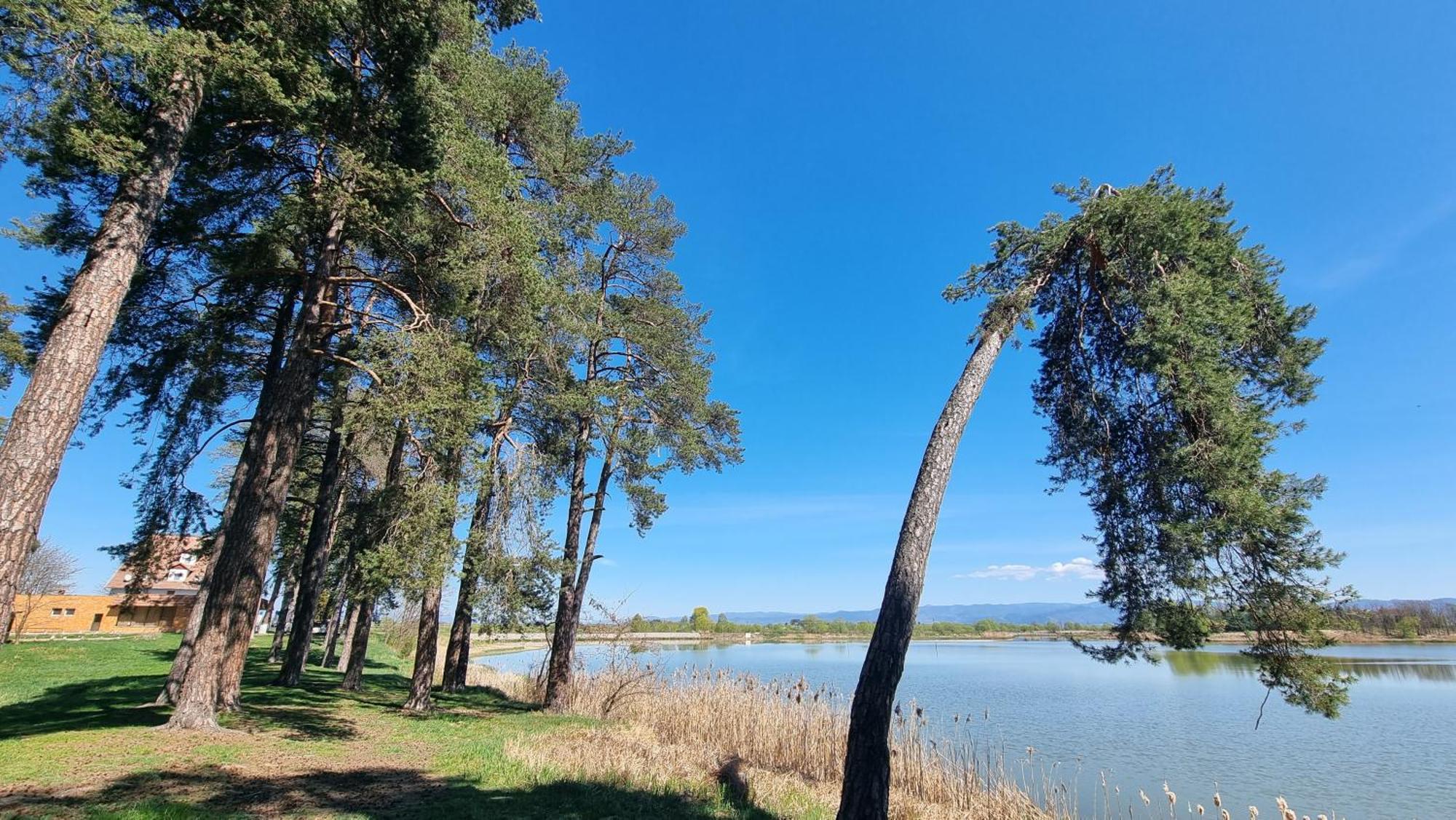 Casuta Din Povesti Villa Reci Luaran gambar