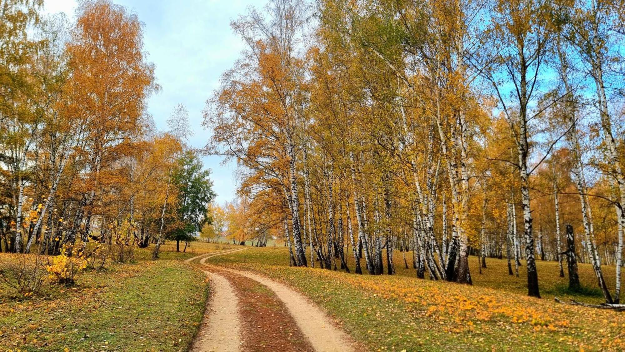 Casuta Din Povesti Villa Reci Luaran gambar